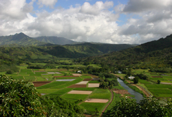 hanalei_view_tarot_fields